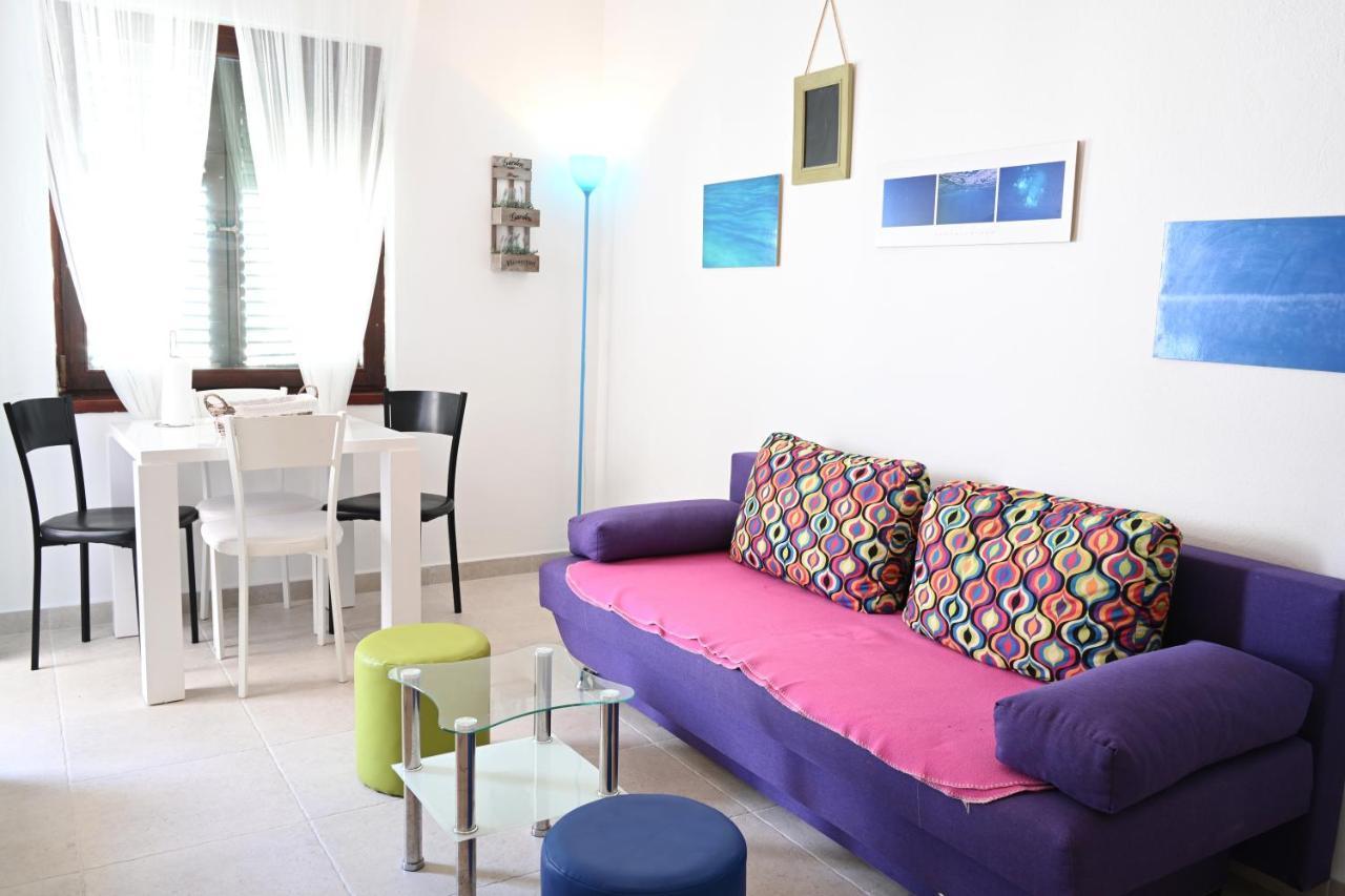 Zebra Apartment